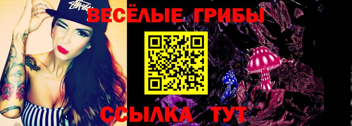 Галлюциногенные грибы Psilocybe  Вход с VPN  где найти наркотики  Сочи 
